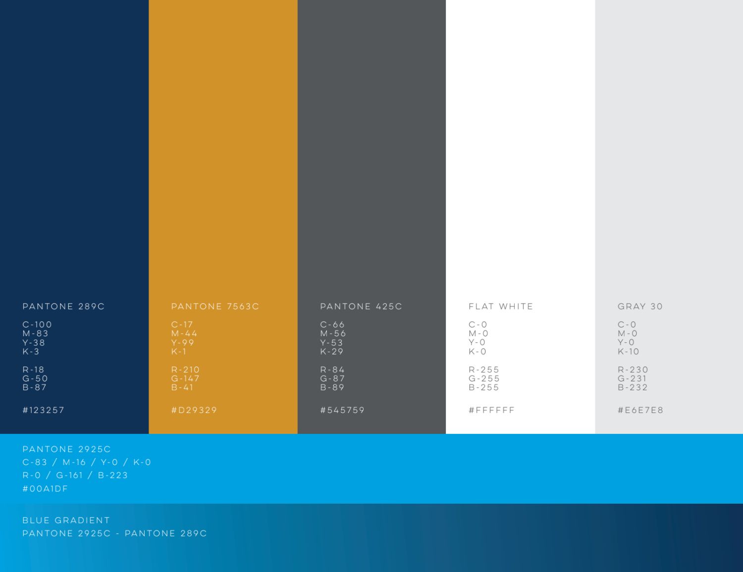 CFM Insurance color palette