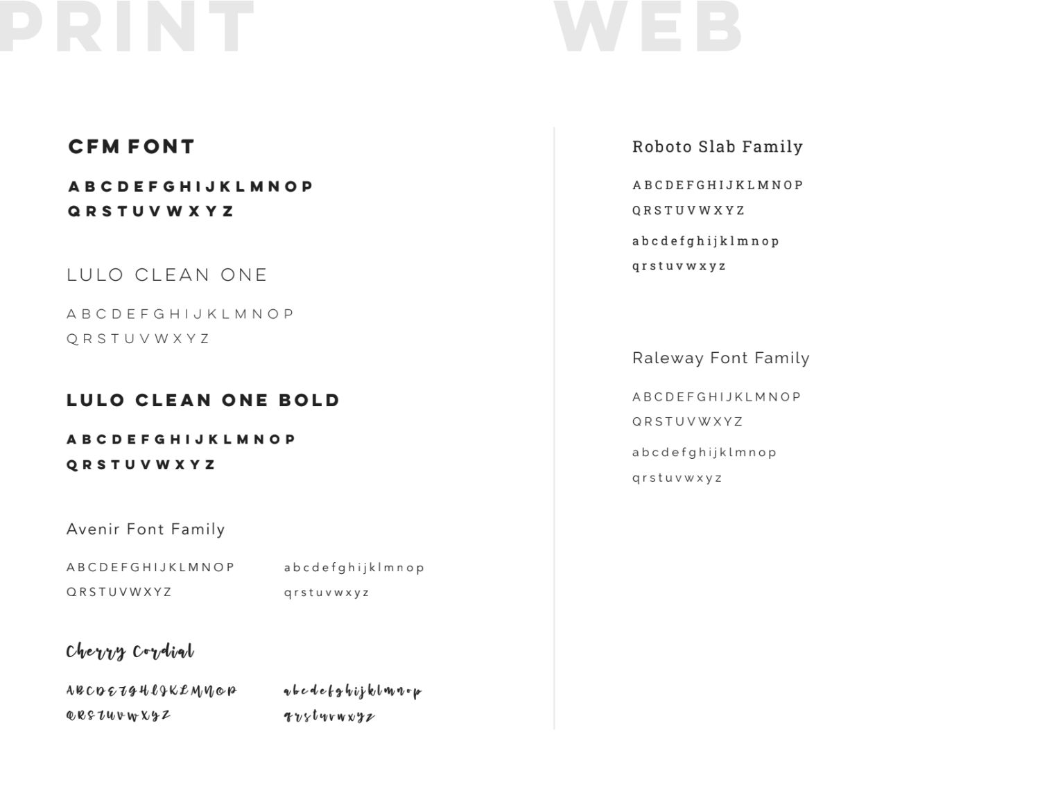 CFM Insurance typography system